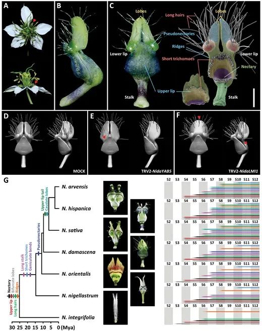 0016.jpg 0016.jpg
