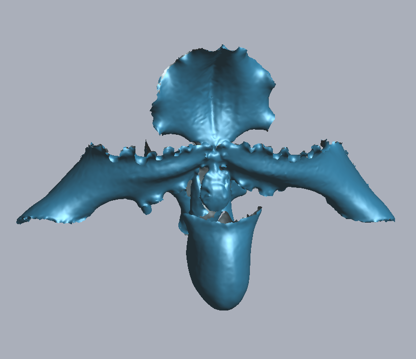 RigelScan三维激光扫描仪应用于植物3D数据采集建模和存档分析 RigelScan三维激光扫描仪应用于植物3D数据采集建模和存档分析