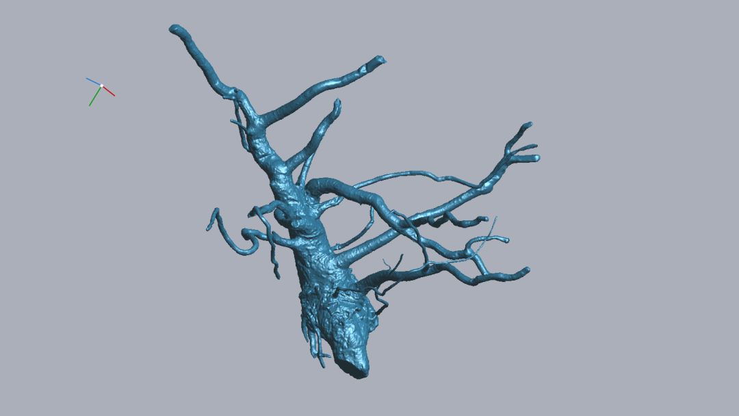 RigelScan三维激光扫描仪应用于植物3D数据采集建模和存档分析 RigelScan三维激光扫描仪应用于植物3D数据采集建模和存档分析