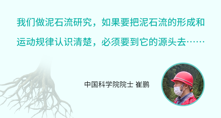 RigelScan三维激光扫描仪应用于植物3D数据采集建模和3D数据存档 RigelScan三维激光扫描仪应用于植物3D数据采集建模和3D数据存档