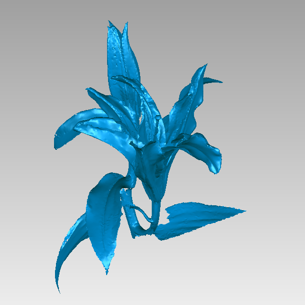 RigelScan三维激光扫描仪应用于植物3D数据采集建模和存档分析 RigelScan三维激光扫描仪应用于植物3D数据采集建模和存档分析