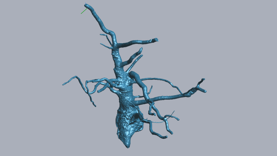 RigelScan三维激光扫描仪应用于植物3D数据采集建模和存档分析 RigelScan三维激光扫描仪应用于植物3D数据采集建模和存档分析