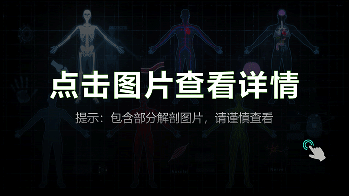 3D扫描仪应用于人体解剖——标本3D数字化和存档 3D扫描仪应用于人体解剖——标本3D数字化和存档